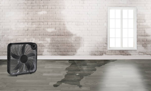 Best Odor Removal and Sanitization After Water Damage in Midwest City, OK